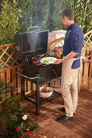 Heavy Dusty Smokeless Grill Trolley
