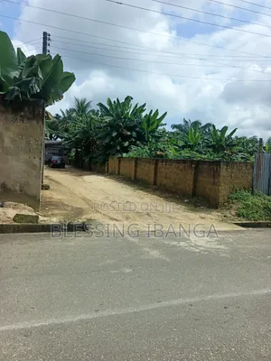 Beautiful Land for Sale 50M and Can Be Divided 25M