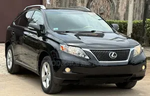 Lexus RX 2010 Gray