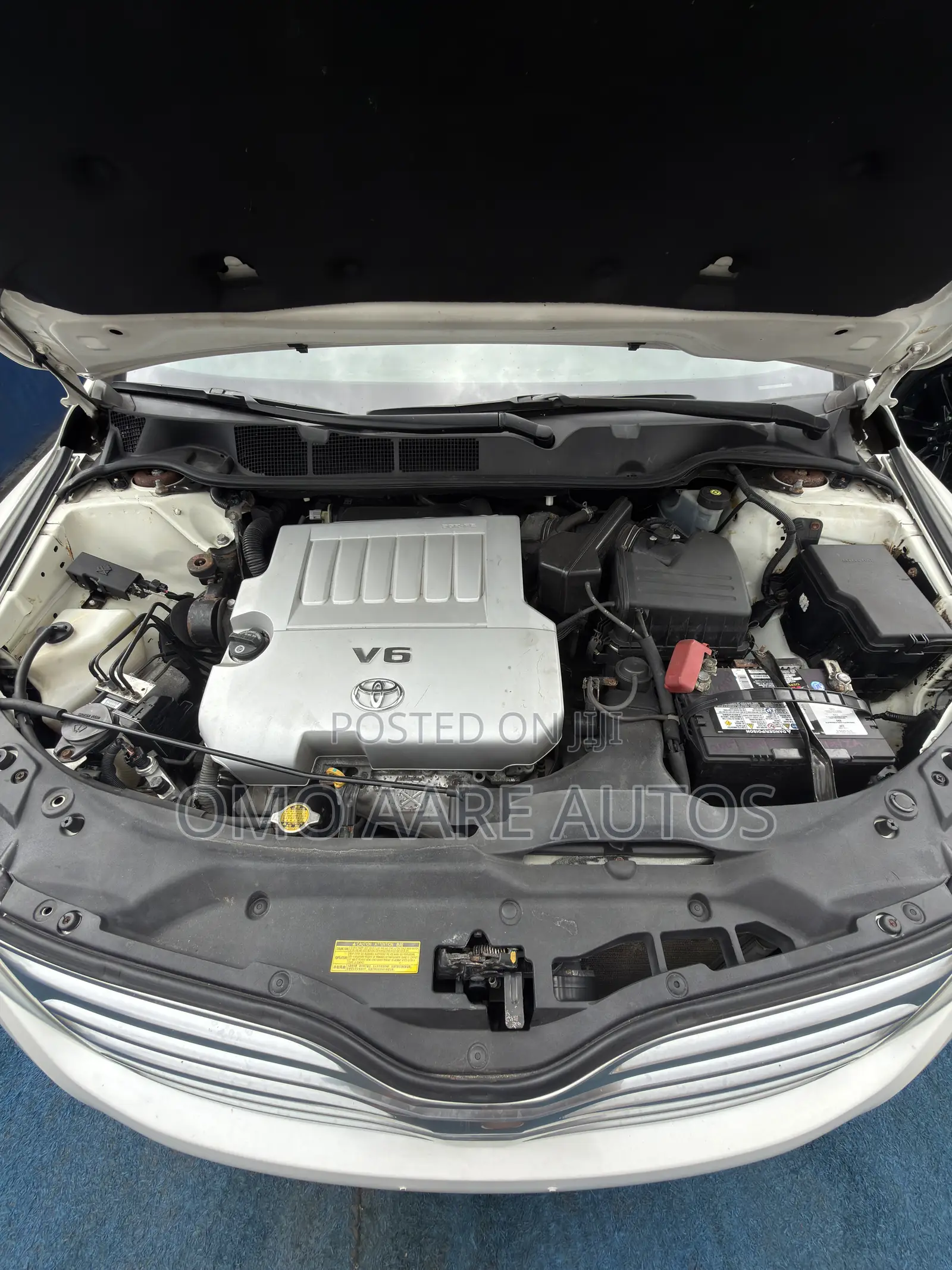 Toyota Venza XLE 2010 White