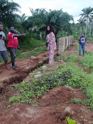 Buy in Dike Garden 2.0 Where Growth Is Leadng Not Where Everone Buying