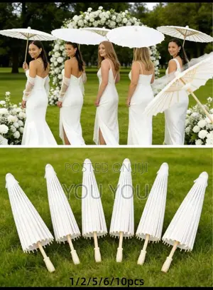 Parasol Paper Umbrella and Fans