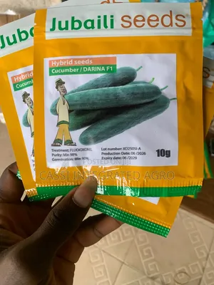 10g Darina Cucumber Seed (Jubaili)