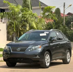 Lexus RX 2010 Gray