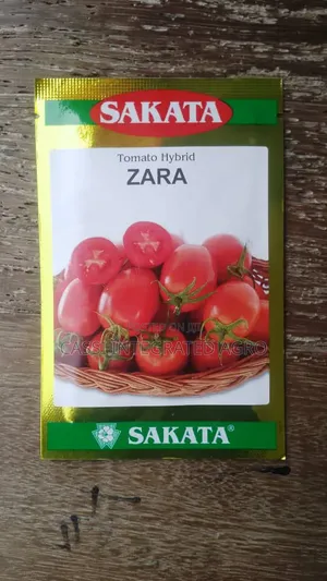 Zara F1 Tomato Seeds 5g