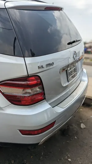 Mercedes-Benz M Class 2010 Silver