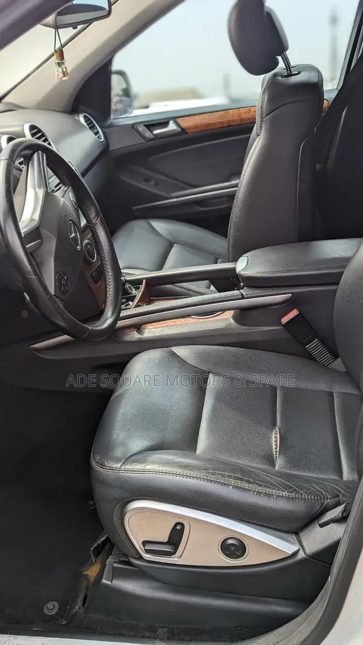 Mercedes-Benz M Class 2010 Silver