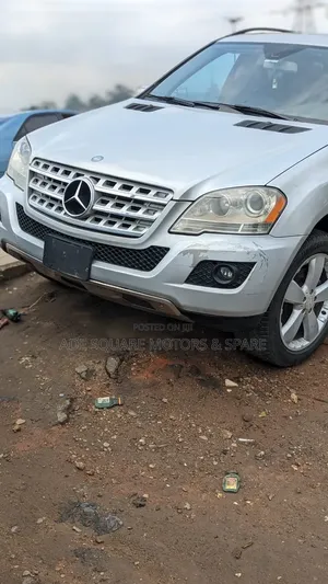 Mercedes-Benz M Class 2010 Silver