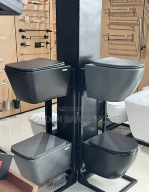 Grey Concealed Watercloset