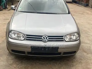 Volkswagen Golf 2002 Gray