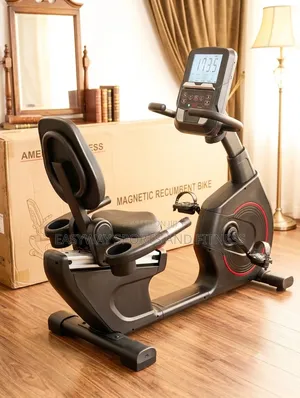 Heavy Duty Commercial Magnetic Recumbent Bike