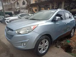 Hyundai Tucson 2013 Blue