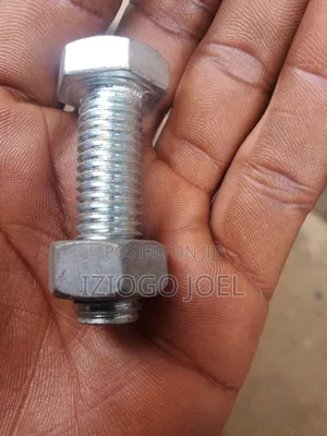 M10 Stainless Bolt and Nuts