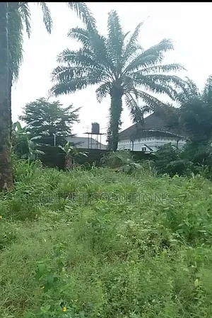 100 X 100 Ft Land