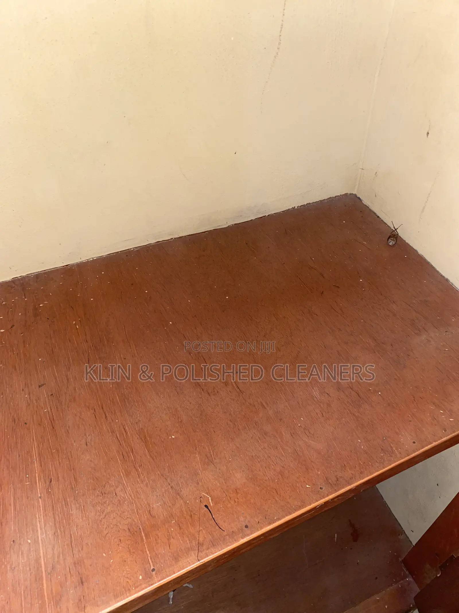 Move in Cleaning Service