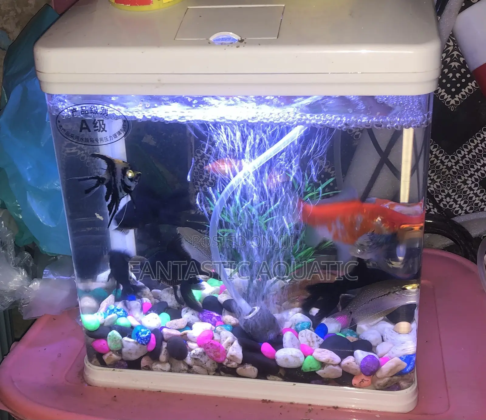 9 Litres Aquarium Complete Set