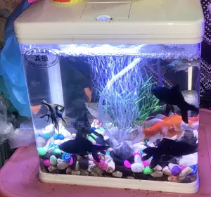 9 Litres Aquarium Complete Set