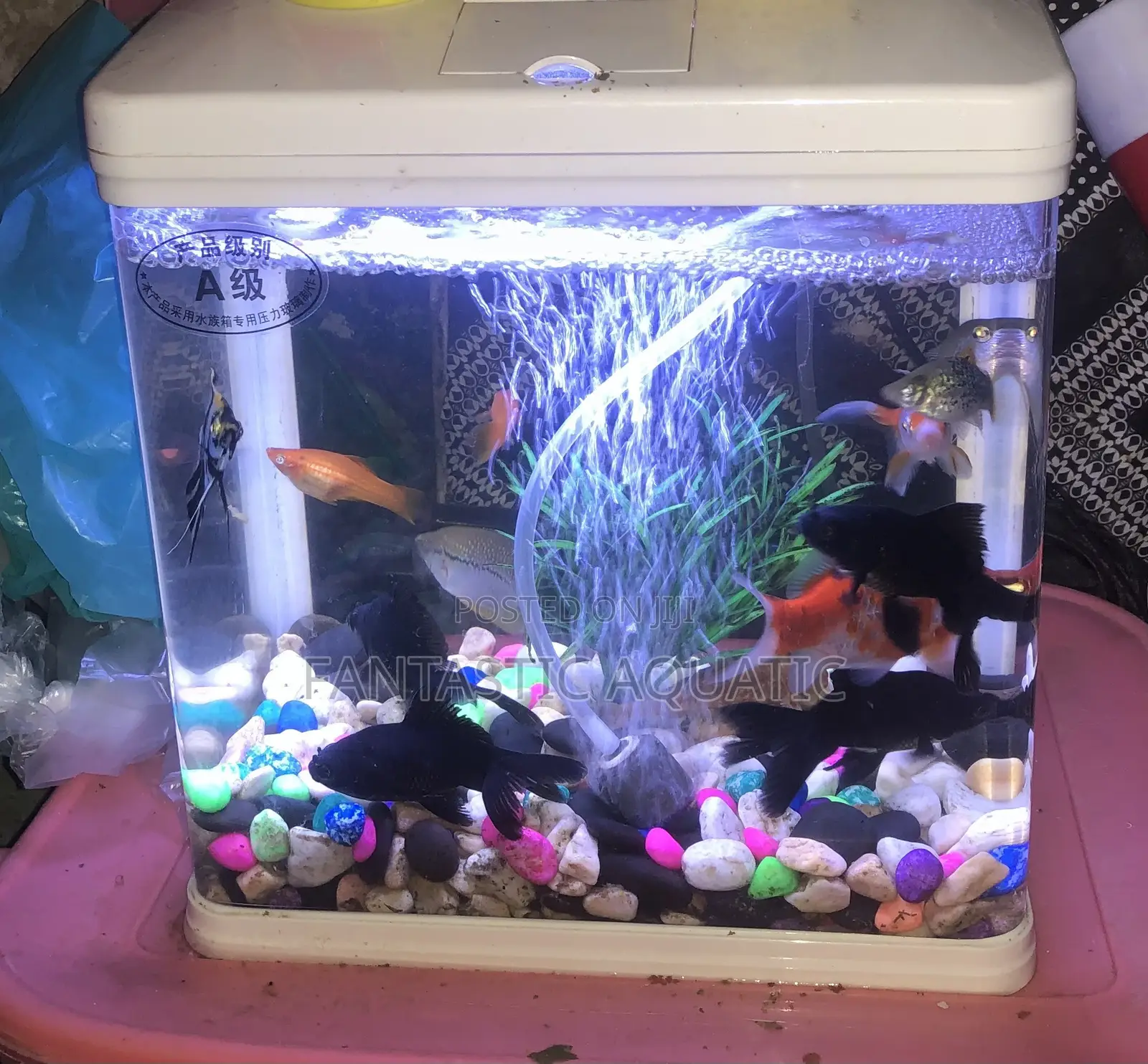 9 Litres Aquarium Complete Set