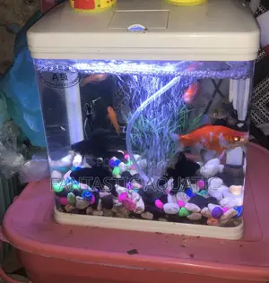 9 Litres Aquarium Complete Set
