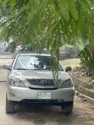 Lexus RX 330 4WD 2005 Gray