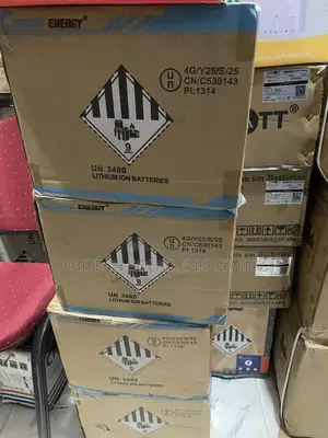 1.2kwh Cworth Lithium Battery