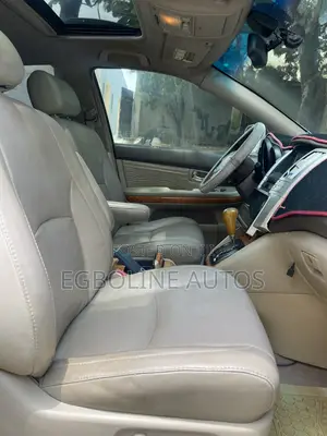 Lexus RX 330 4WD 2005 Gray