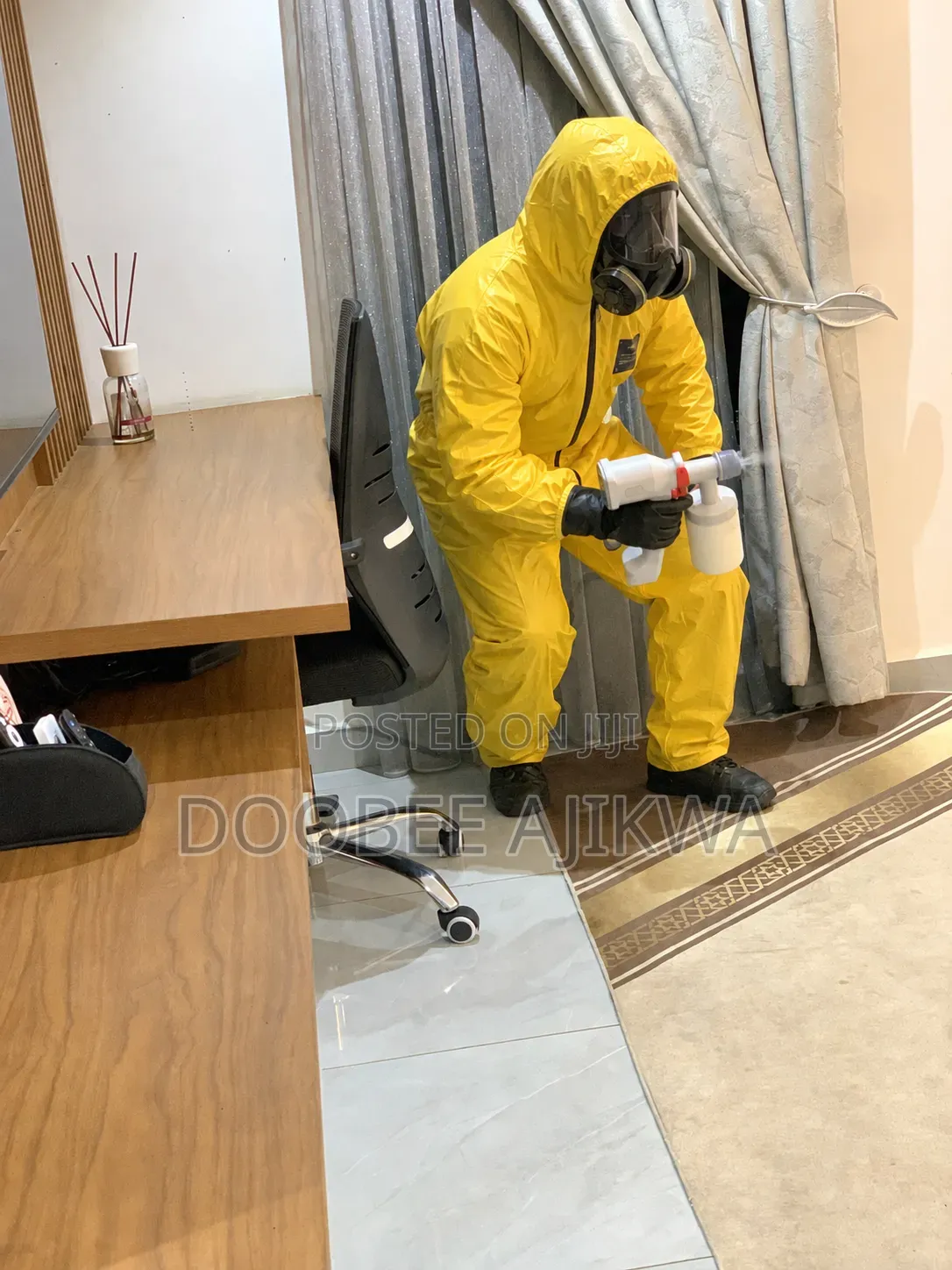 Bedbugs Pest Control and Fumigation