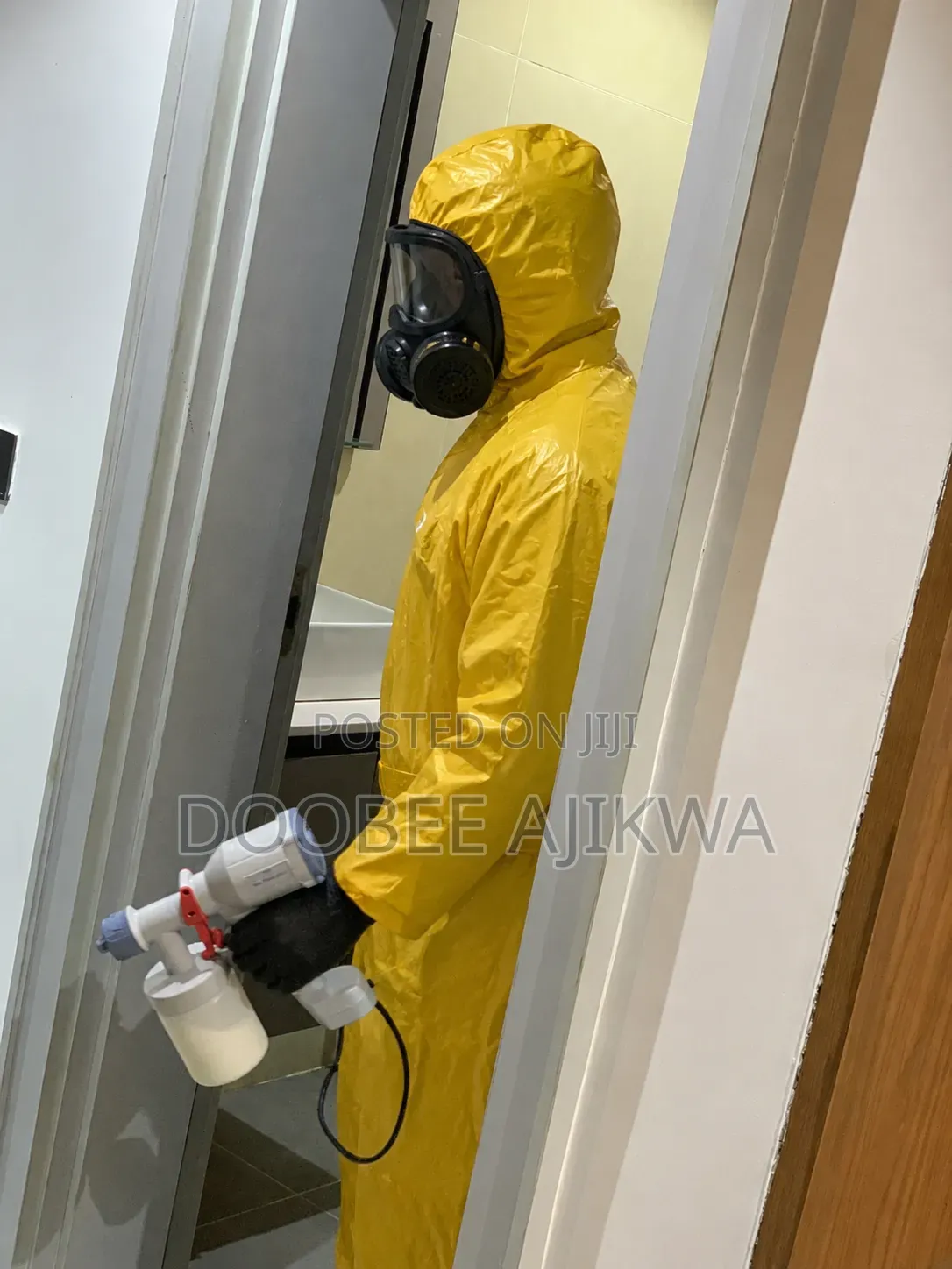 Bedbugs Pest Control and Fumigation