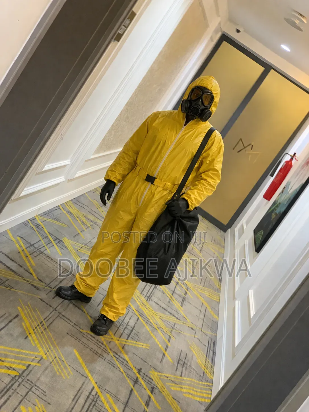 Bedbugs Pest Control and Fumigation