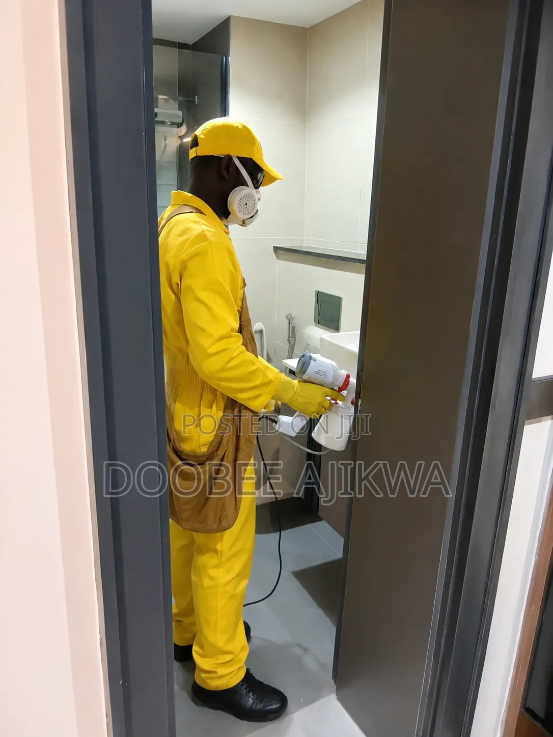Bedbugs Pest Control and Fumigation