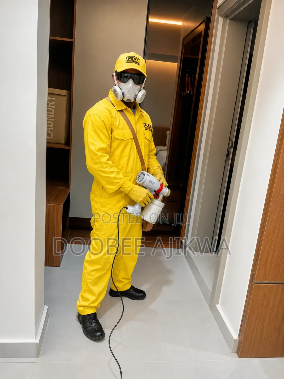 Bedbugs Pest Control and Fumigation