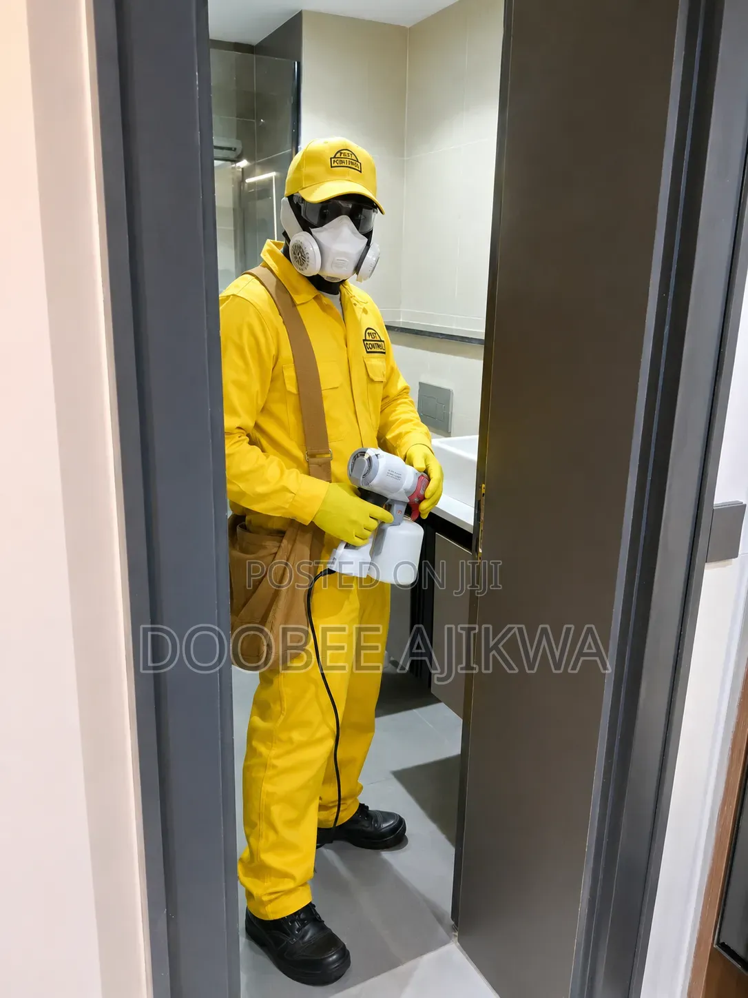Bedbugs Pest Control and Fumigation