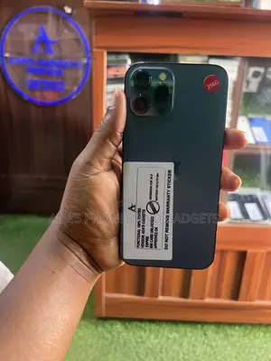 Apple iPhone 12 Pro Max 256 GB Blue