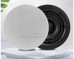 25W Passive Speaker