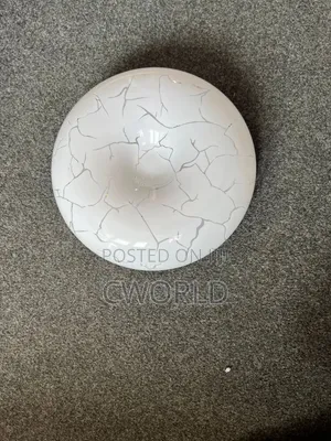 Led Ceiling Light