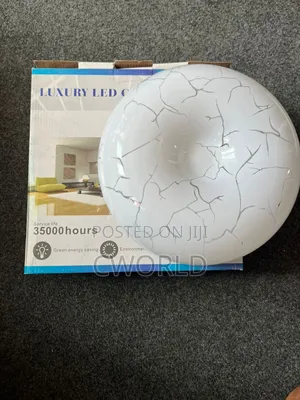 Led Ceiling Light