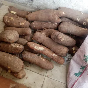 Yam Tubers