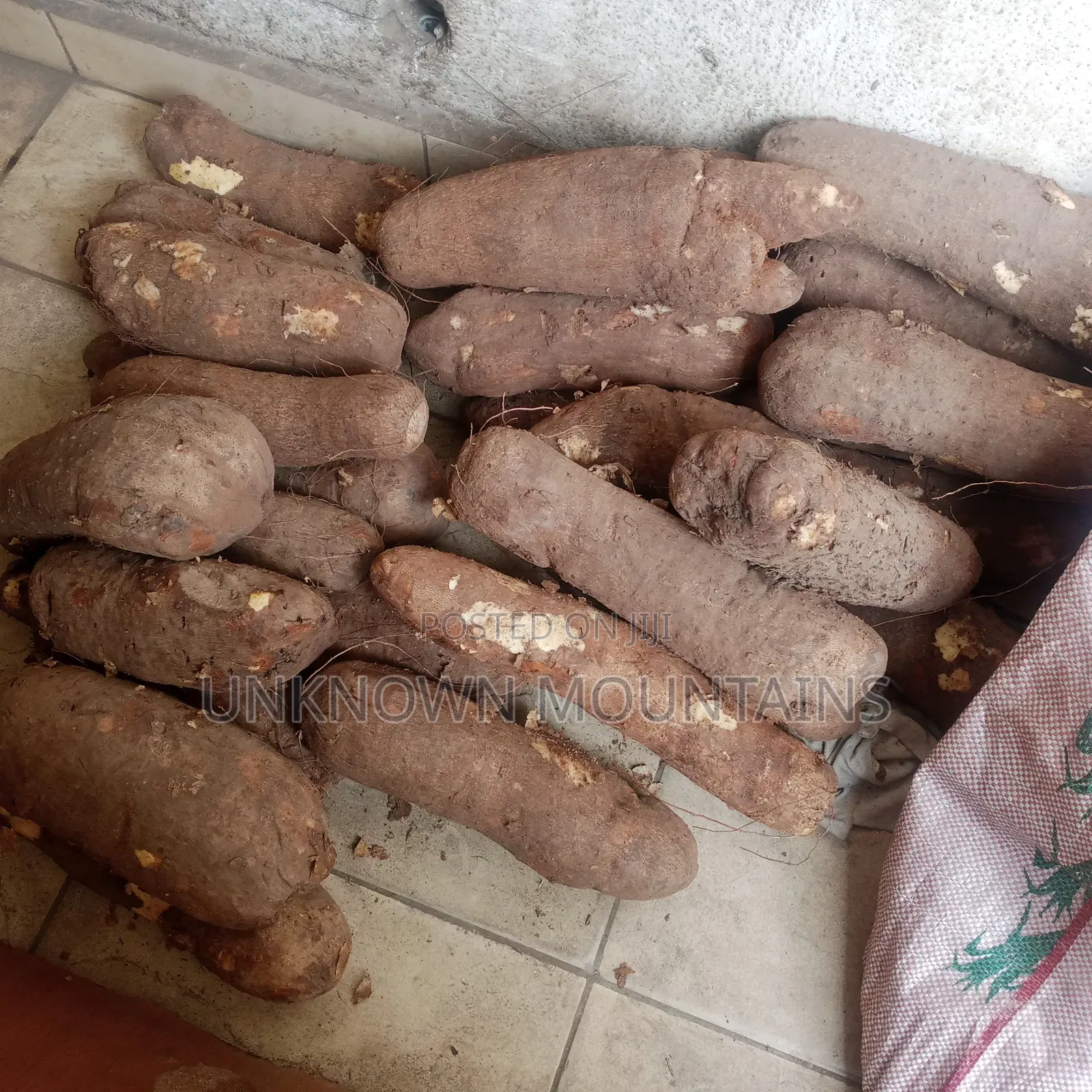 Yam Tubers