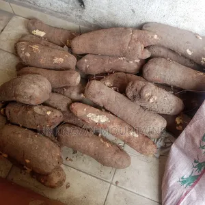 Yam Tubers