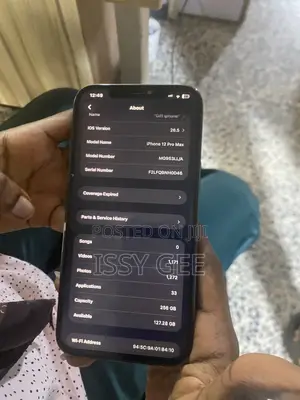 Apple iPhone 12 Pro Max 256 GB Blue