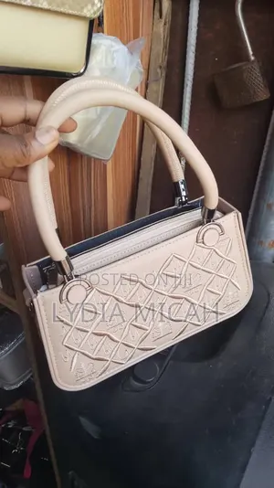 Classic Handbag for Ladies