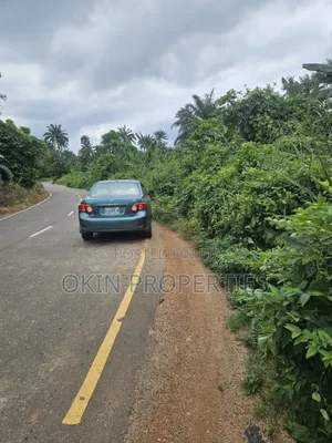 250 Acres of Land at Iragbiji