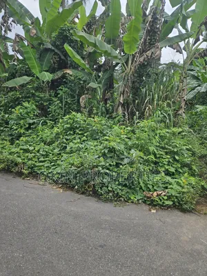 250 Acres of Land at Iragbiji