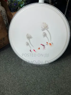 Led Ceiling Lamp