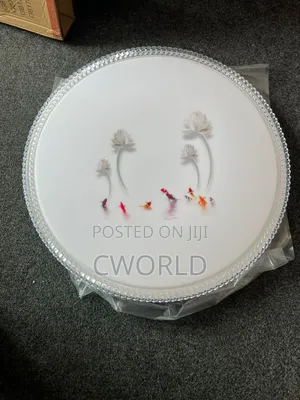Led Ceiling Lamp