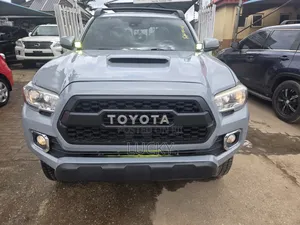 Toyota Tacoma TRD Off Road 2018 Gray