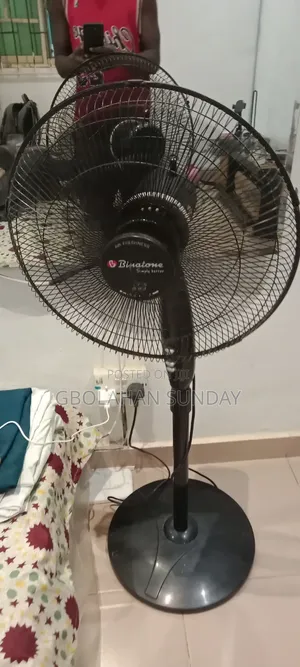 Standing Fan