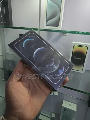 New Apple iPhone 12 Pro Max 256 GB Silver