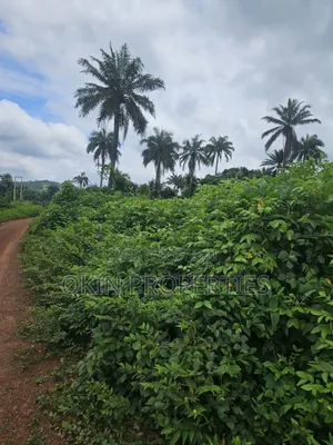 2000 Acres of Land at Faforiji