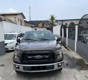 Ford F-150 2015 Gray